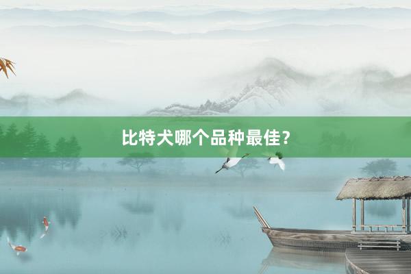 比特犬哪个品种最佳？